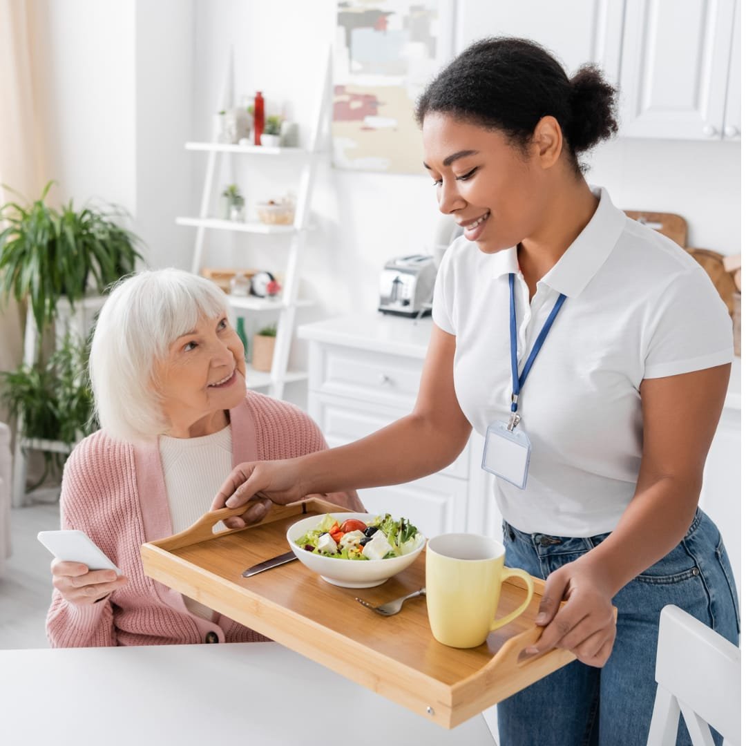 Health care services, Skilled Nursing Services, Home Care Services, Personal Companion Services, Pediatric Care Services, Respite Care Services, Elderly Care Services