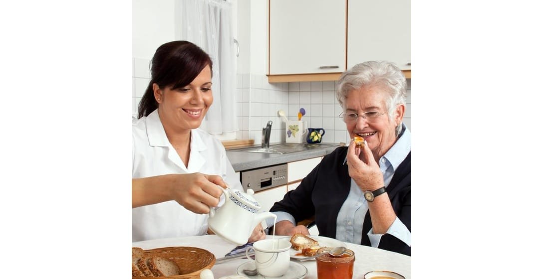 Health care services, Skilled Nursing Services, Home Care Services, Personal Companion Services, Pediatric Care Services, Respite Care Services, Elderly Care Services