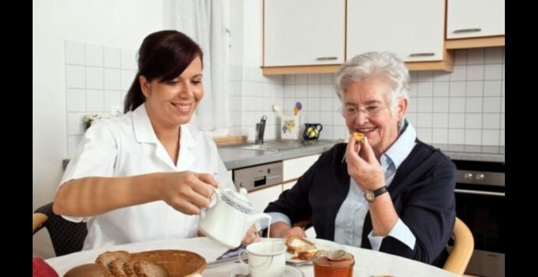 Health care services, Skilled Nursing Services, Home Care Services, Personal Companion Services, Pediatric Care Services, Respite Care Services, Elderly Care Services