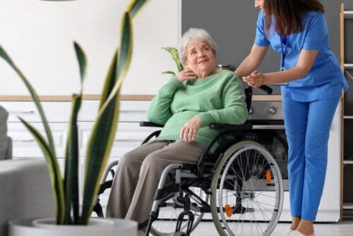 Health care services, Skilled Nursing Services, Home Care Services, Personal Companion Services, Pediatric Care Services, Respite Care Services, Elderly Care Services