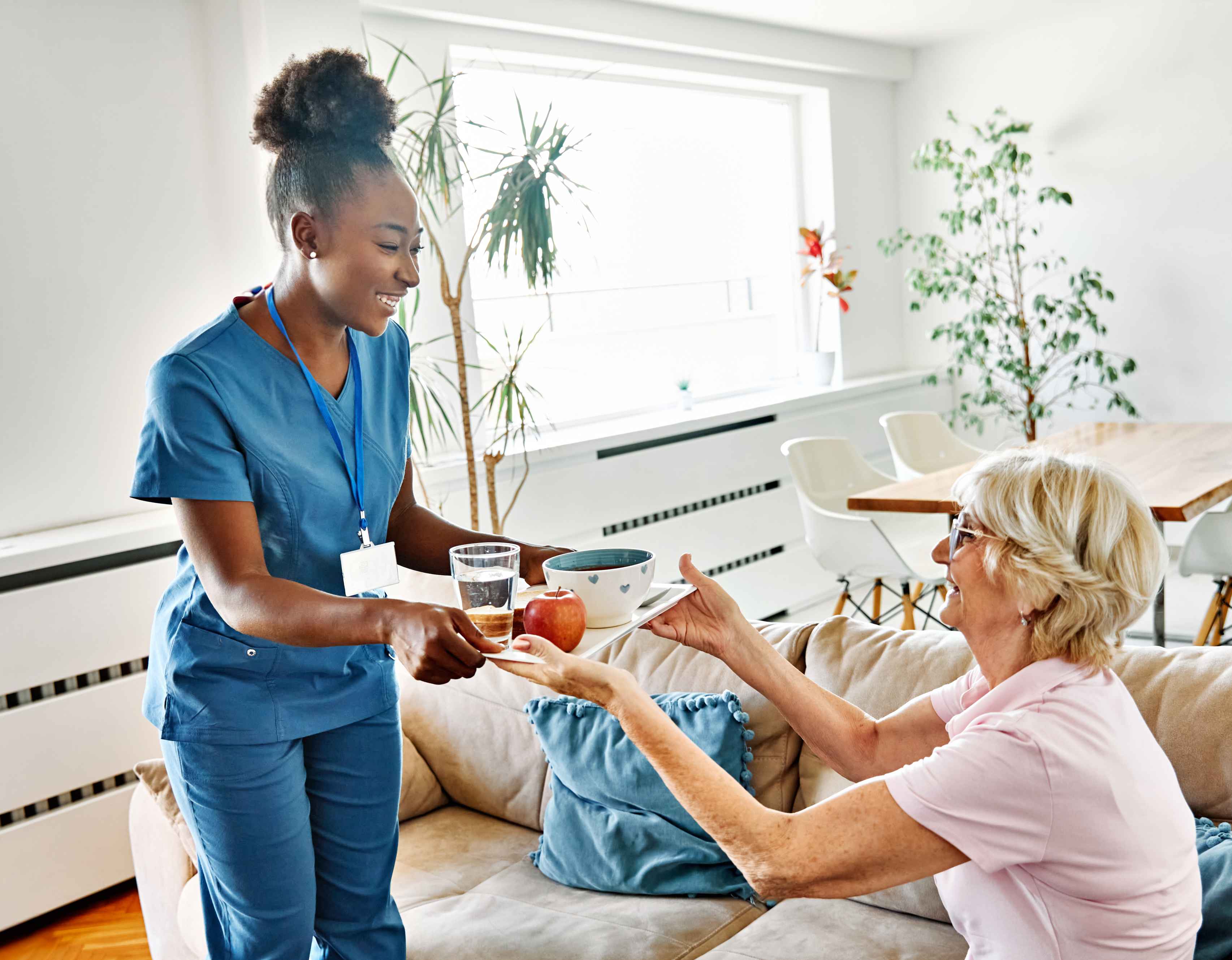 Home Care Professionals